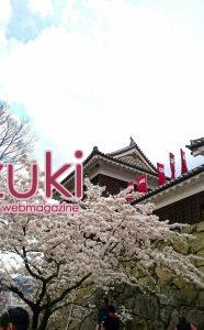 上田城跡の桜