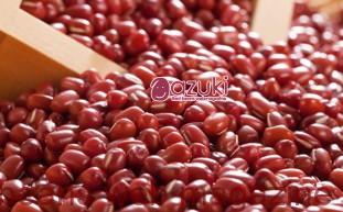 基本の煮小豆(砂糖を入れない・渋抜きなしバージョン)