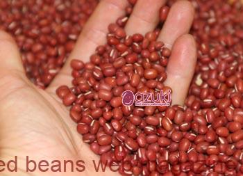 小豆の栄養と機能性