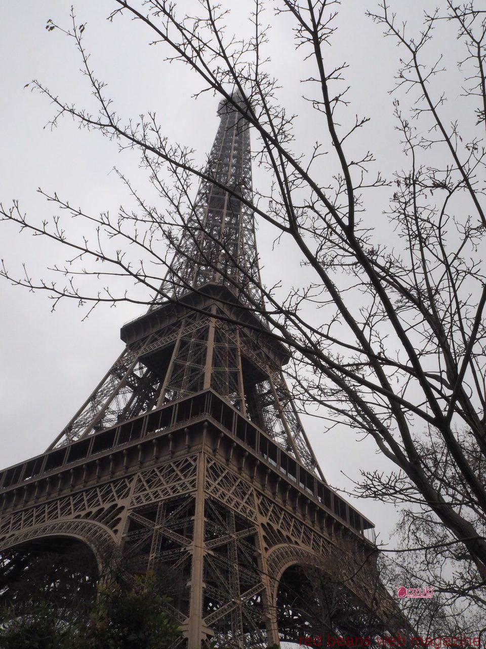 小豆のアトリエ In Paris のご案内 主催 森田農場 Azuki Red Beans Webmagazine 小豆のアトリエ In Paris のご案内 主催 森田農場 Azuki Red Beans Webmagazine