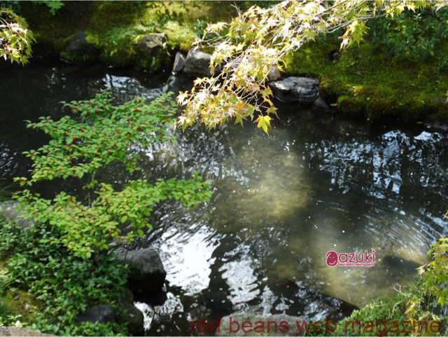 砂糖がはいってても、あんこは罪悪感がないおやつになる?