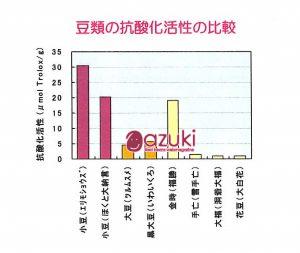 「豆類の抗酸化活性の比較」（原図　加藤淳　2012年）