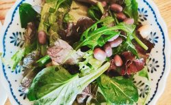 【本イベントは終了しました】小豆づくしランチ会　
